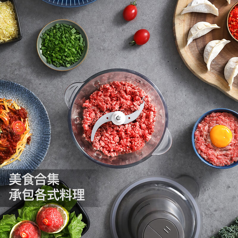 龙的(longde)绞肉机 2L家用双档电动多功能料理绞馅机 包饺子绞肉馅蒜蓉机 LD-KM206高清大图