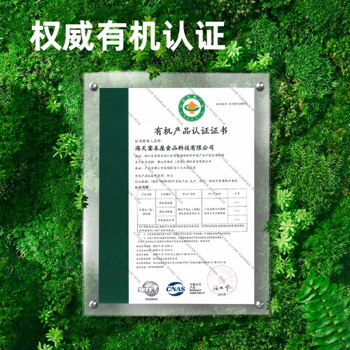 海天番茄酱 番茄沙司250g 0添加防腐剂 0脂肪 有机 蘸薯条 挤挤瓶高清大图
