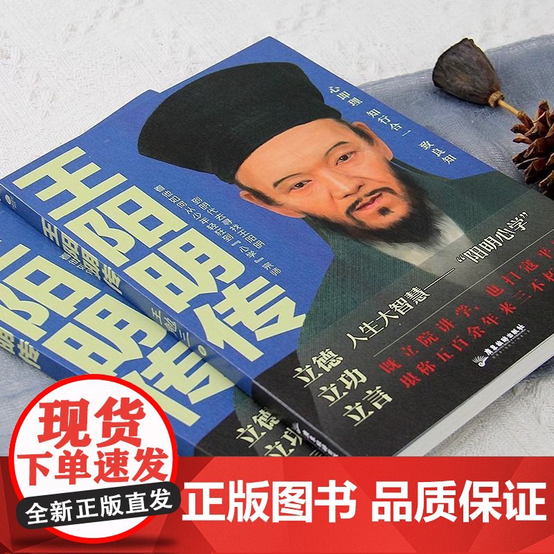 王阳明传正版书籍 知行合一王阳明 心学的智慧知行合一心学全集传习录详注哲学人生哲理 王守仁王阳明大传哲学历史人物传记高清大图