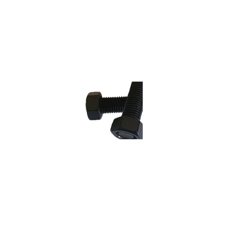 益莘 六角头发黑螺栓4.8级 M14*30mm 套图片