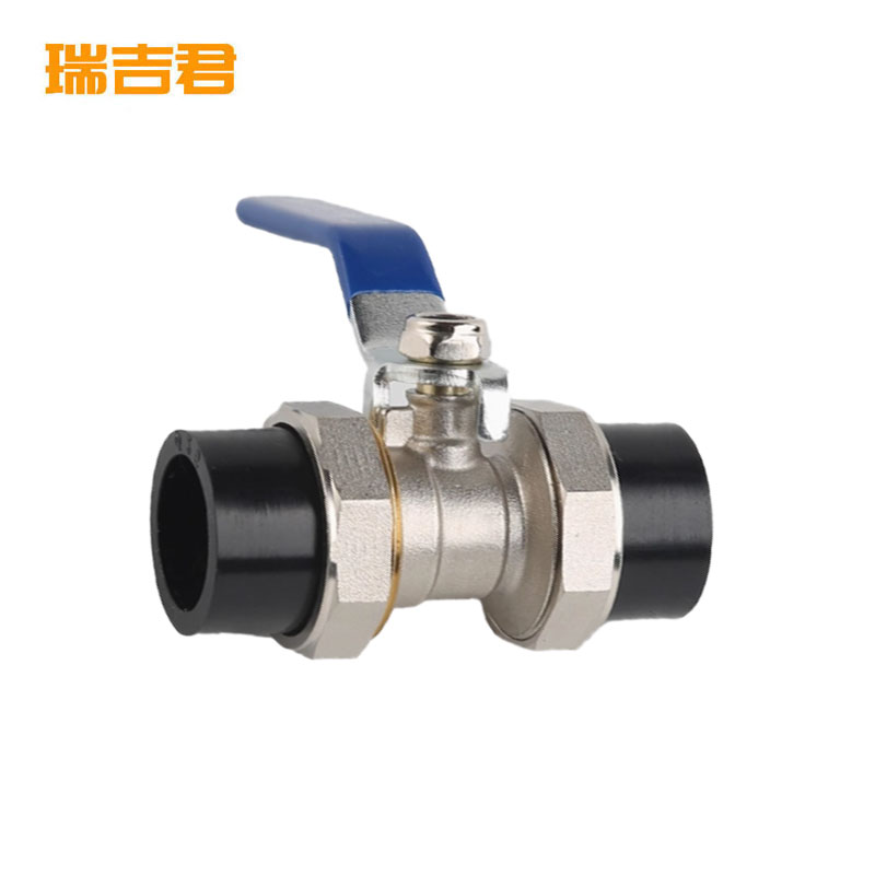瑞吉君 PE双活接球阀 20mm 个高清大图