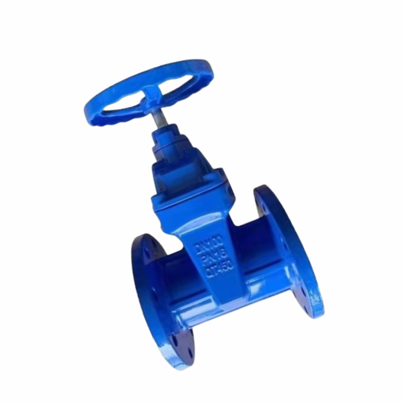 法兰闸阀 DN80高清大图