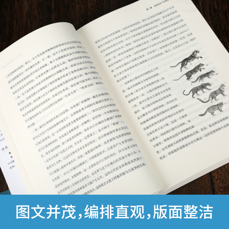 [正版]物种起源 达尔文原著自然进化遗传生物学著作 插图经典版 青少年高中生阅读自然科学科普读本