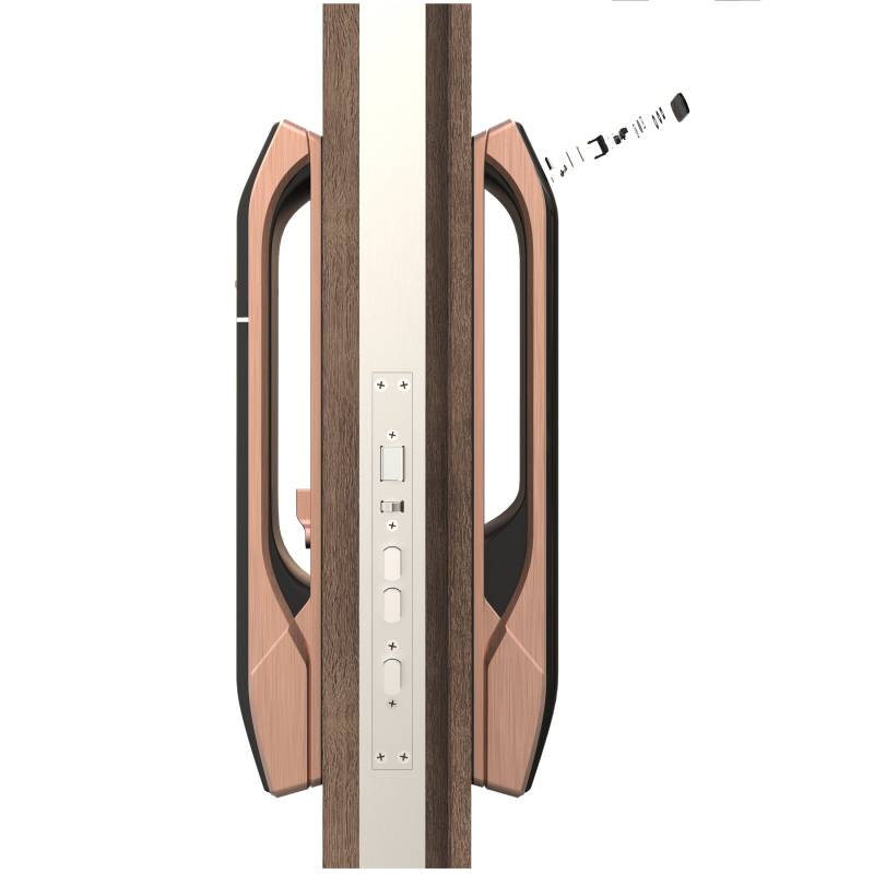 亚太天能(TENON)微信智能指纹锁家用指纹密码锁电子门锁 A7X 枪金黑