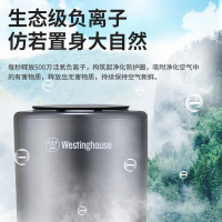 西屋(Westinghouse)车载空气净化器 汽车负离子净化器 新车车内除味除甲醛