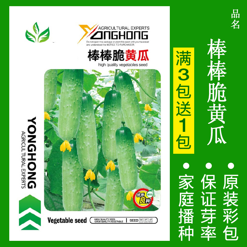 8424麒麟无籽美都西瓜种籽大全种子水果瓜小南方蔬菜苗秧种孑阳台 均码 棒棒脆黄瓜约30粒