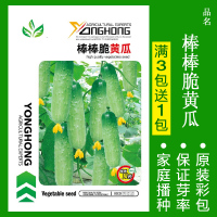 8424麒麟无籽美都西瓜种籽大全种子水果瓜小南方蔬菜苗秧种孑阳台 均码 棒棒脆黄瓜约30粒