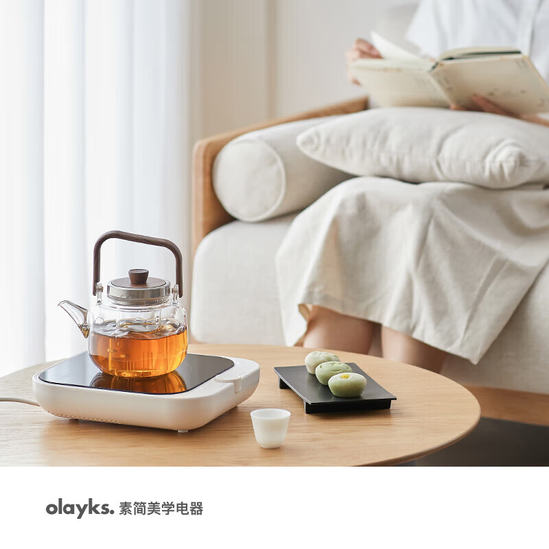 欧莱克OLAYKS 大功率电池炉迷你电陶茶炉围炉不挑壶加热炉 便携式灶头电陶炉 OLK-09-01 -DTL00201高清大图
