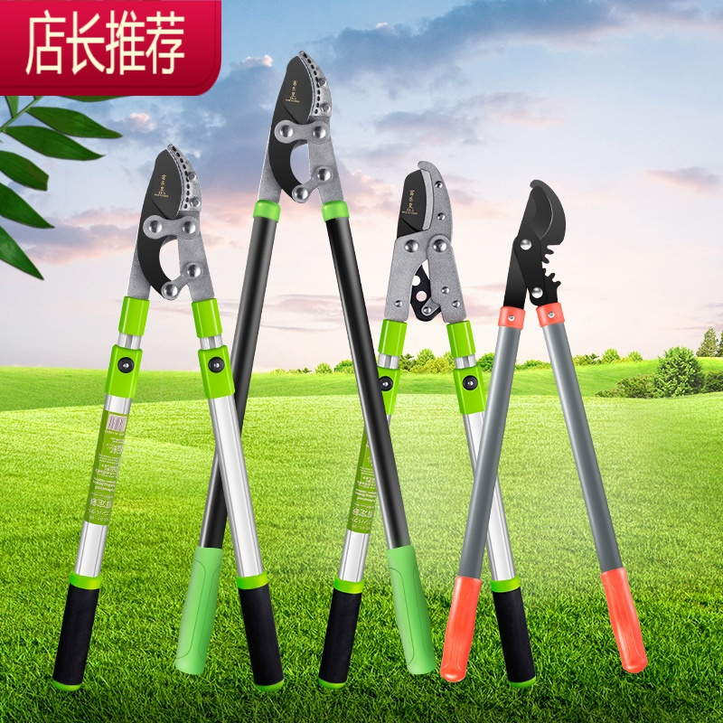 伸缩粗枝剪刀强力高枝剪修粗树枝专用省力剪园林大力剪果树园艺剪jing