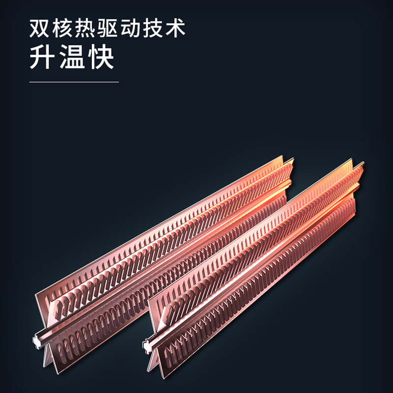 利维斯顿(ILVSD)取暖器家用轻音电暖气浴室防水遥控变频节能双核热翅片暖风机智能速热暖气片电暖器VL22E+APP