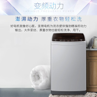 Haier/海尔洗衣机 8公斤 直驱变频 全自动波轮洗衣机 家用节能静音 智能预约 一键启动 XQB80-BZ1269