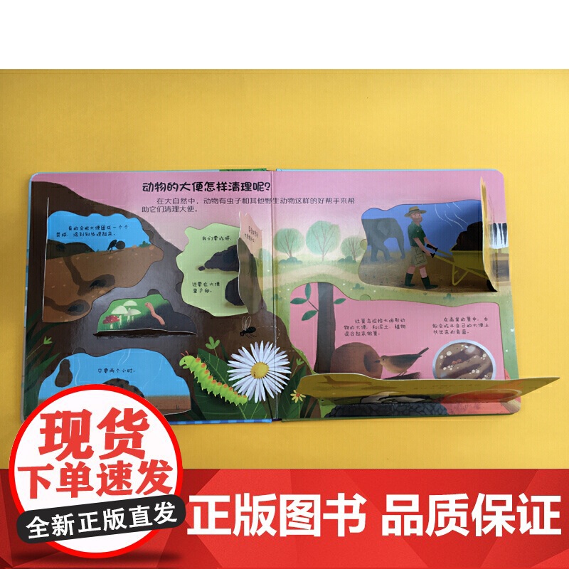 你问我答科普翻翻书·怎么样·大便去哪儿了?高清大图