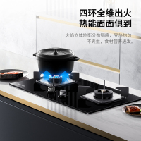 华帝百得E111C+QE53+DX11燃气灶套餐厨房抽油烟机燃气灶套装大吸力油烟机家用煤气灶双灶套装组合(液化气)