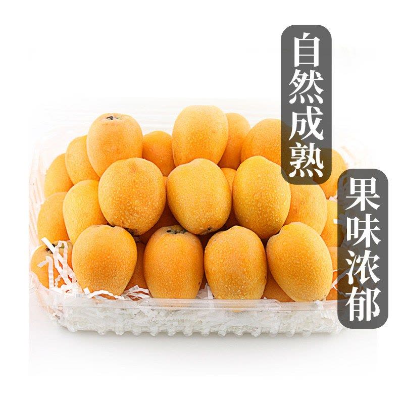 星派果米易枇杷带箱3/5斤装新鲜孕妇水果五星琵琶果现摘当季整箱顺丰图片