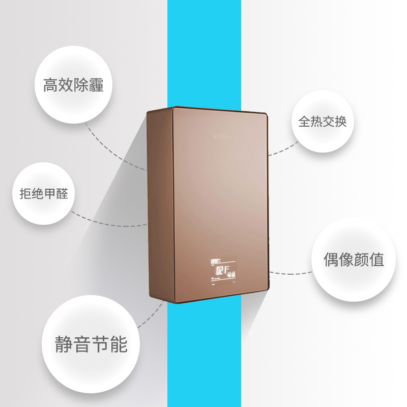 法国爱迪士（aldes）家用 壁挂式新风机 Easy NOVA Lyon （香槟金）壁挂 加氧 净化 除PM2.5