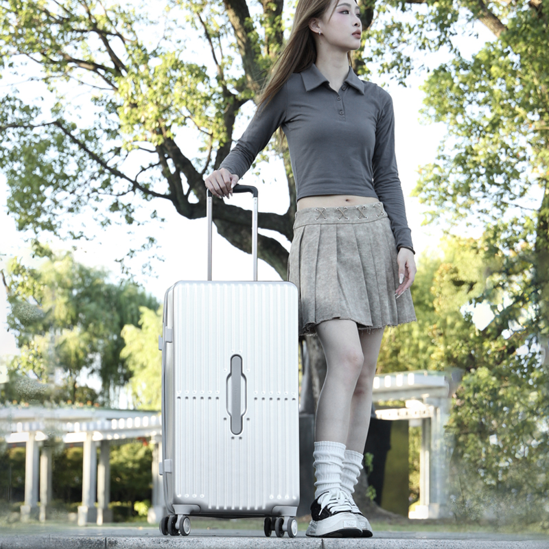 外交官Diplomat 万向轮加厚箱体三面提手可登机TSA密码箱26英寸 DS-1373高清大图