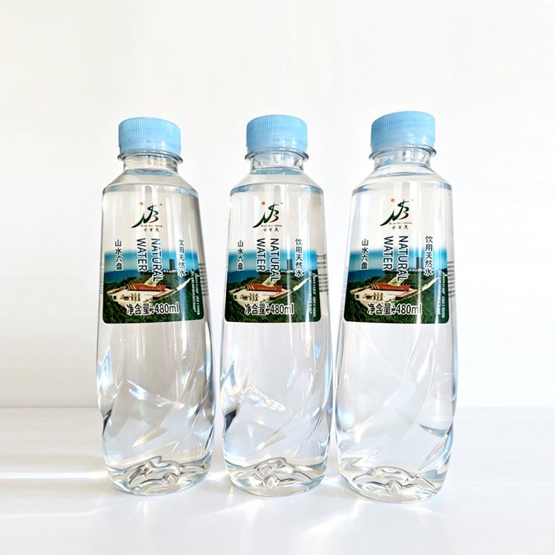 饮用天然水480ml*20瓶/箱图片