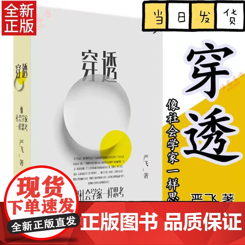 正版 穿透:像社会学家一样思考 清华大学社会学家严飞著 钱颖一、刘瑜、郝景芳 ,梁文道作序 社会学小说集 理想国