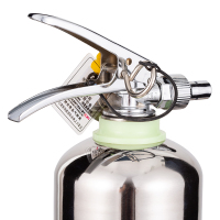 神龙 灭火器 水基型(水雾)不锈钢环保灭火器2升 车载家用及商用灭火器2L MSWZ/2B 消防器材