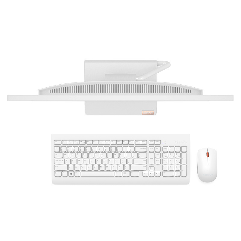 联想(Lenovo)AIO逸 网课商务办公学习台机高性能家用一体机台式机电脑23.8英寸(赛扬4205U 8G 256G SSD 高色域)白