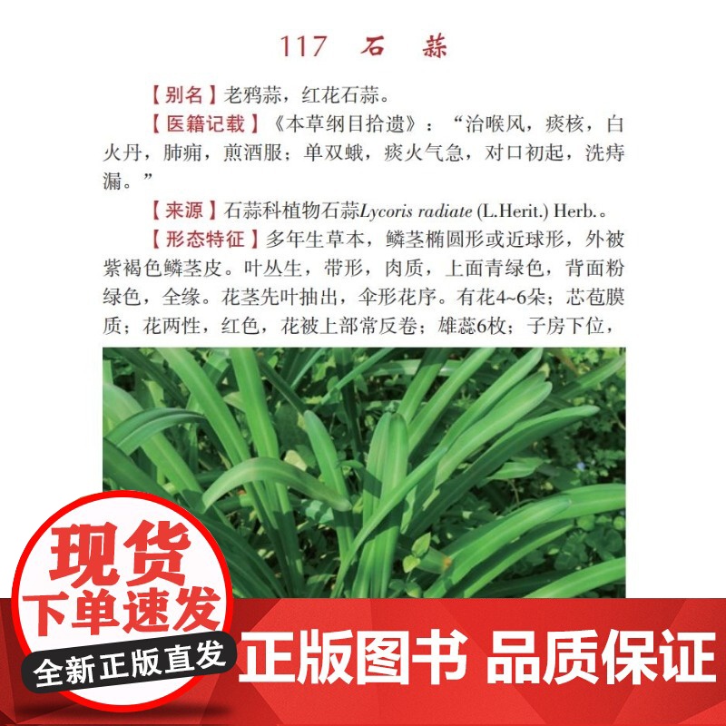 奇异中草药单方验方 中草药图谱大全 形态特征/化学成分/现代研究 附3-5首实用配方 鉴别级实拍彩图 中医药材鉴定与临床高清大图
