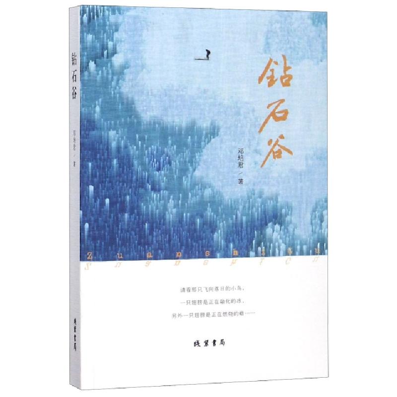 正版新书】钻石谷邓培君9787512027961