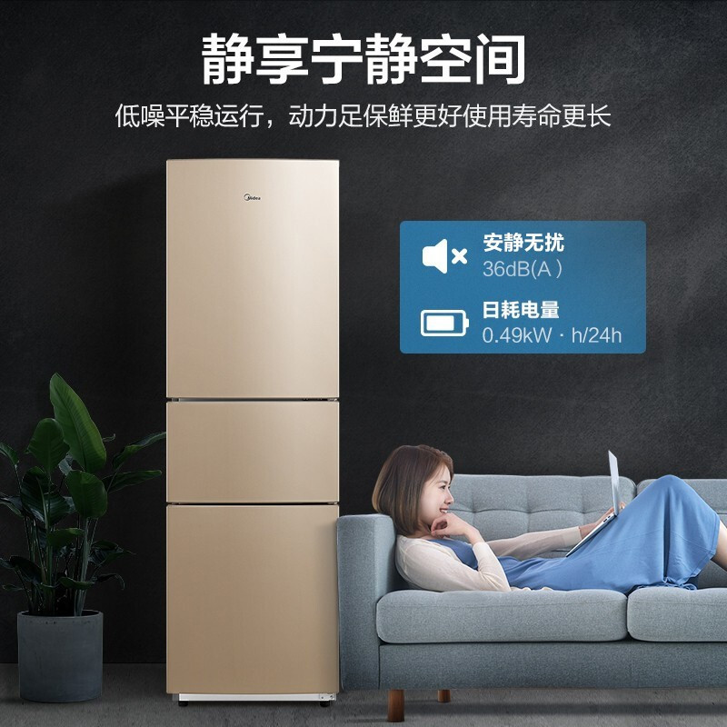 美的(MIDEA) BCD-213TM(E) (213L)