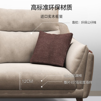 掌上明珠 布艺沙发北欧简约现代沙发床小户型两用三人客厅家具SF-X08