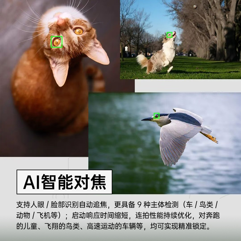 FUJIFILM/富士 黑色X-T30III+黑色XF35F2套装 三代单机身 富士 无反 微单相机 xtt30II升级款 2610万像素高清大图