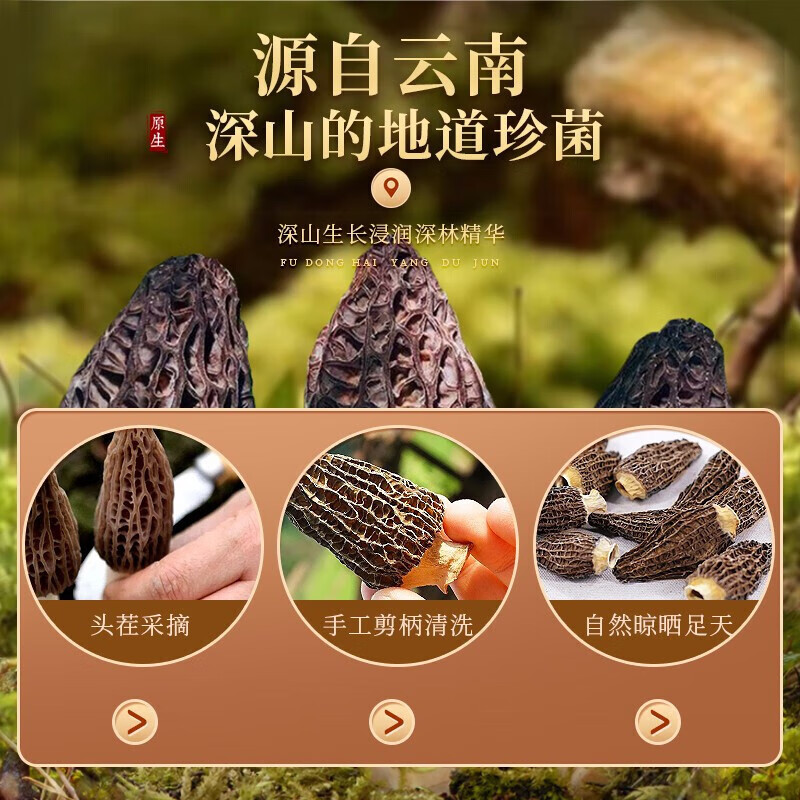 [福东海]羊肚菌 100克 礼盒高清大图