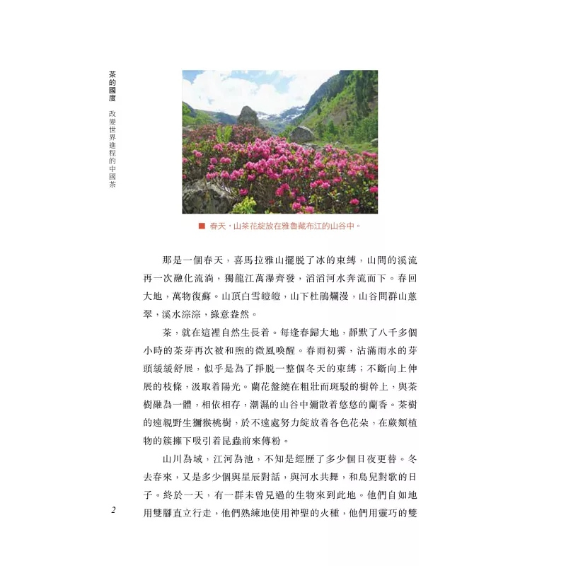 [正版] 香港原版 茶的国度:改变世界进程的中国茶 戎新宇 香港中和出版 饮食文化