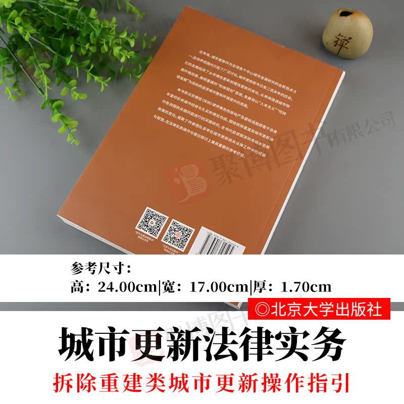 [正版]2020新书 城市更新法律实务:拆除重建类城市更新操作指引 李建华 查晓斌 搬迁安置补偿 法律*全套北京大学出版高清大图
