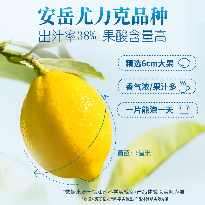 忆江南 冻干柠檬片泡水喝独立包装即食旗舰店蜂蜜冷泡茶花茶水果茶(柠檬片100g*1盒)高清大图