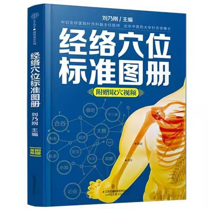 [正版]经络穴位标准图册 江苏凤凰科学技术出版社 中医推拿按摩书养生书籍大全 人体经络穴位图解养生书籍
