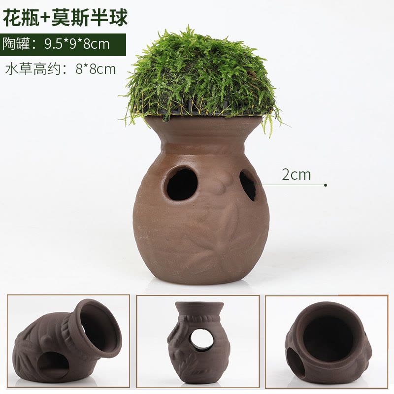 鱼缸造景莫斯水草陶罐躲避洞鱼虾躲避屋慈鲷罐水晶虾窝繁殖罐虾罐图片