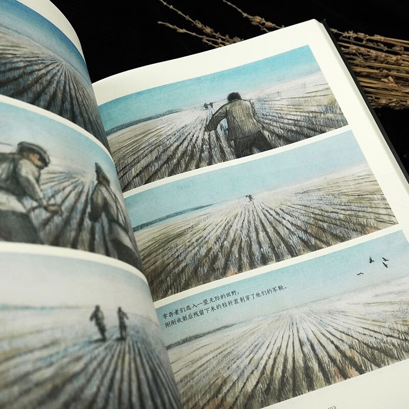 [正版]寂静笼罩大地 根据真实经历改编 白俄上尉十月革命苏俄内战 历史传记纪实漫画 漫图像小说书籍高清大图
