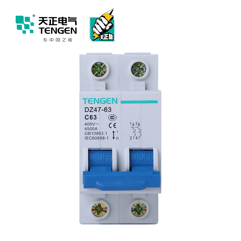 天正电气 空气开关 DZ47-63 2P C 63A 4.5KA 01060020274 微型断路器