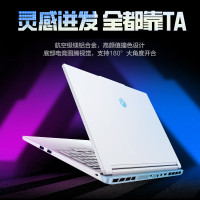 机械革命(MECHREVO)极光X 潮玩版 酷睿i7HX 游戏本笔记本电脑(i7-14650HX 32G 1T RTX5060 2.5K屏 300Hz 海盐白)