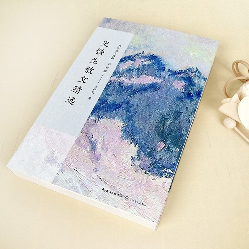 [正版]史铁生散文精选 史铁生 名家散文典藏彩插版我与地坛秋天的怀念病隙碎笔故乡的胡同史铁生作品散文集现当代文学随笔图书