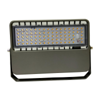 领航电器(LHDQ) LHE2365/G LED应急投光灯 30W 冷光 220V 应急时间120min IP65