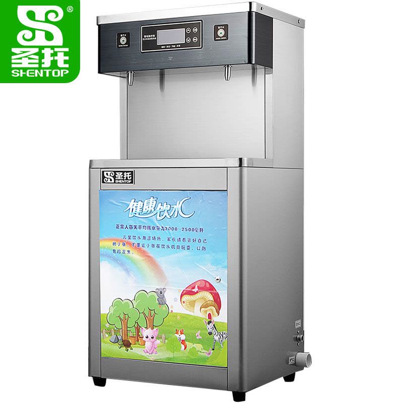 圣托(Shentop)DBA13两温触摸幼儿园开水机 全自动电热开水器商用直饮机 学校儿童净化直饮水机图片