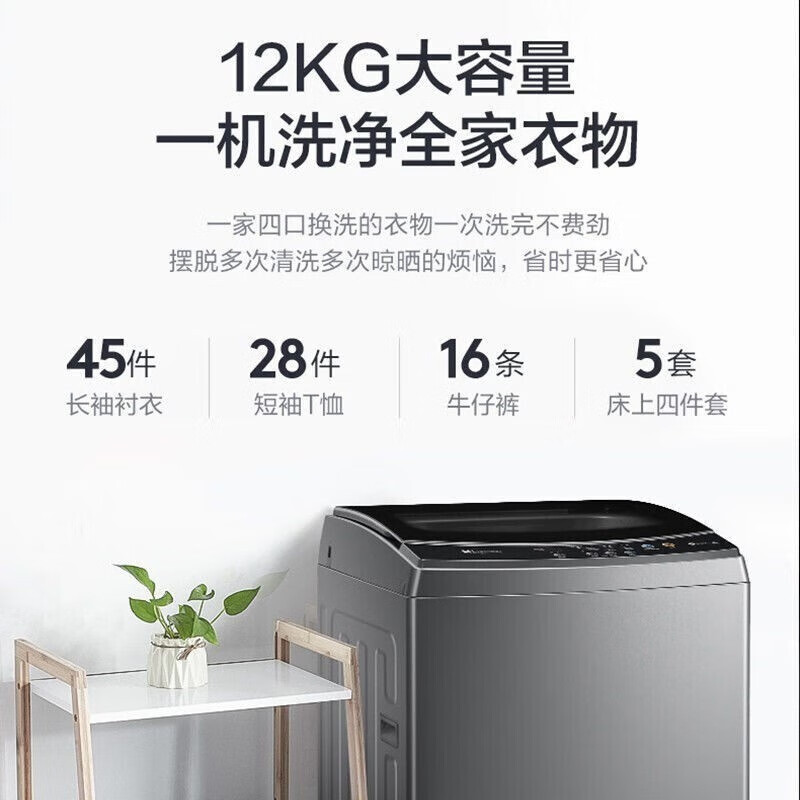 小天鹅(LittleSwan)12公斤波轮洗衣机全自动TB120-2808WB