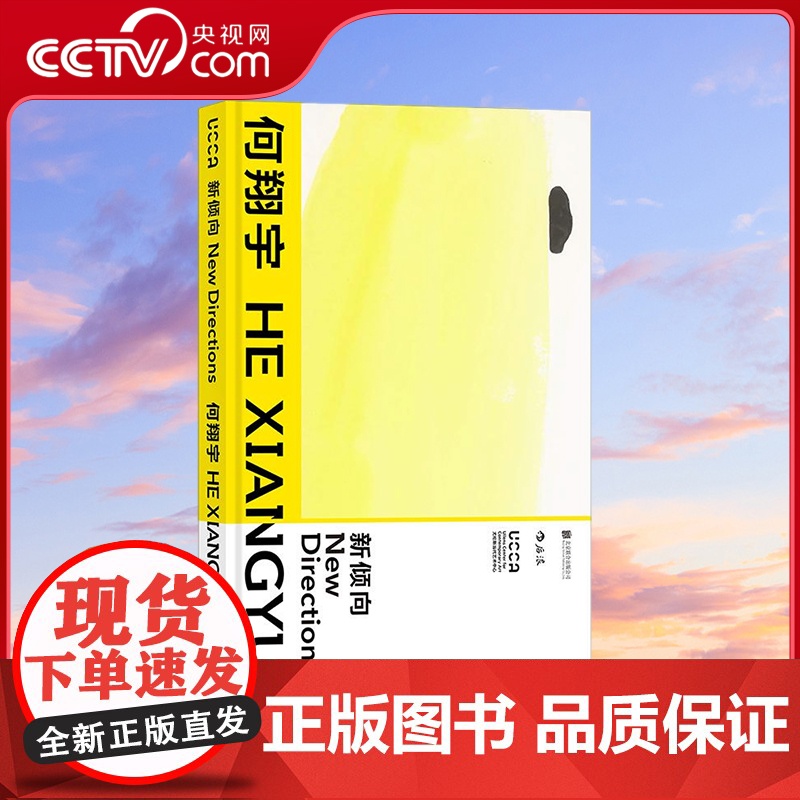 【央视网】新倾向 何翔宇 artnet2016首届年度艺术大奖 新锐艺术家 得主何翔宇艺术专著 北京联合出版有限公司 H
