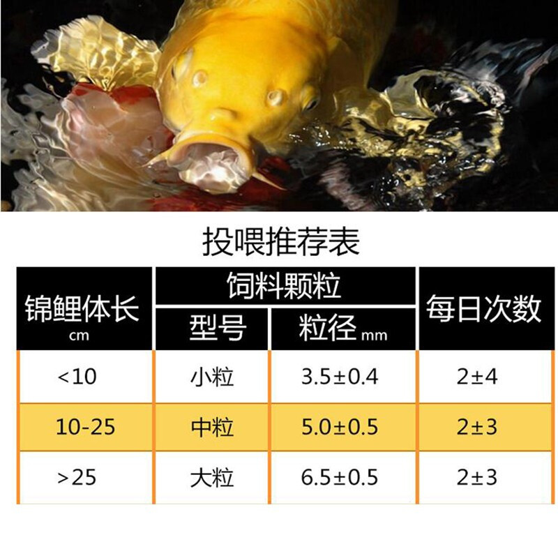 彩锦王御鳞锦鲤鱼饲料鱼粮鱼食育成增色增体鱼食螺旋藻上浮颗粒 彩锦王育成饲料454g小粒