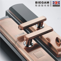 【BIEGAM】陛迦S1指纹锁智能锁电子门锁防盗门电子门锁通用型别墅室外门 【远程密码开锁 】三年质保