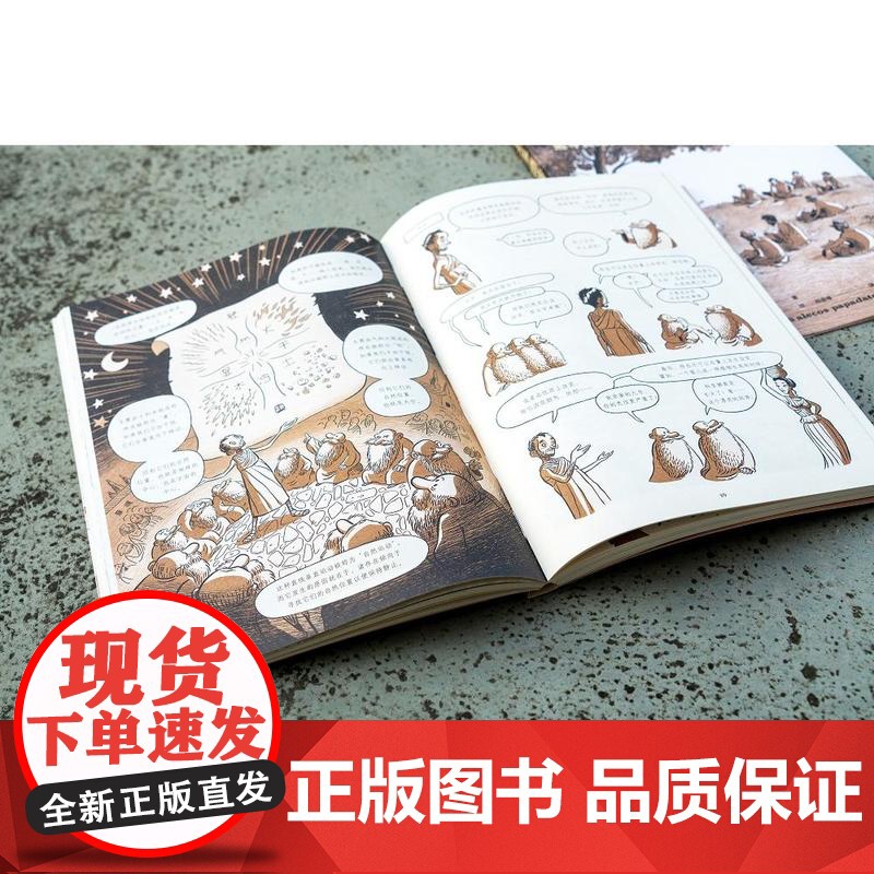 亚里士多德传 追寻真理的一生 (希) 塔索斯· 阿帕斯托利迪斯 著 (希) 阿雷卡斯·帕帕达托斯绘 四川文艺出版社 果麦高清大图