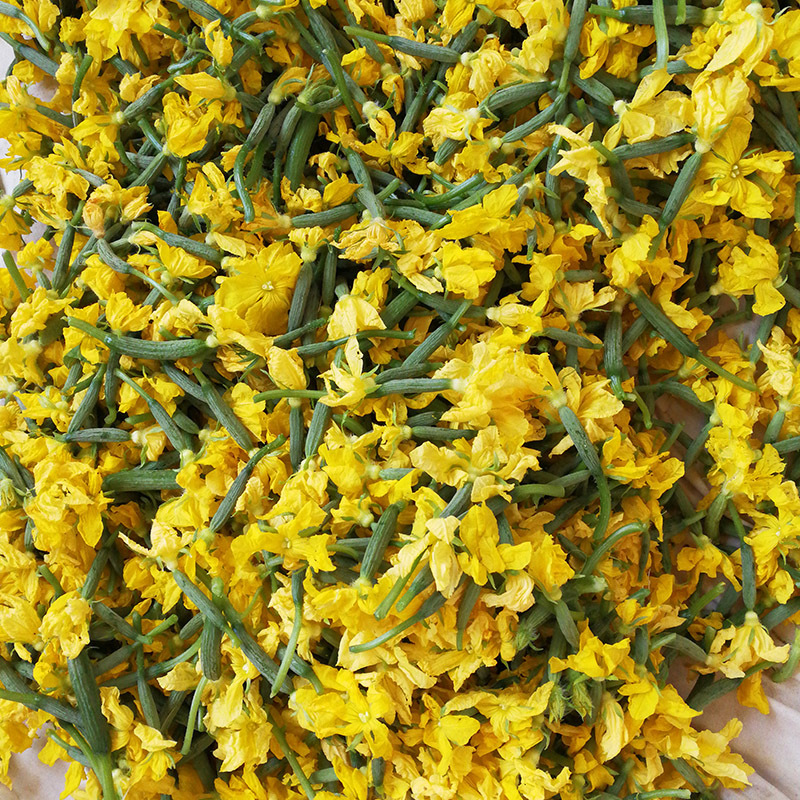 黄瓜花青瓜花一份净重3斤新鲜蔬菜沙拉特菜凉拌清炒