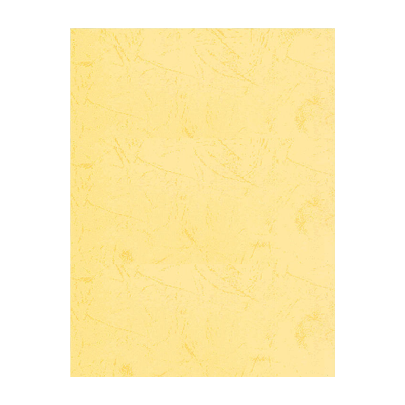 奥驰 皮纹纸180g浅黄色 A4 100张/包高清大图