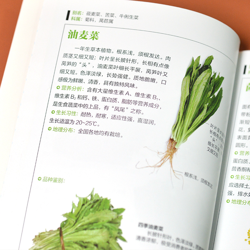 [正版]常见蔬菜图鉴五谷杂粮营养介绍饮食功效解读 食材选购指南美食烹饪菜谱 食物营养搭配饮食宜忌大全书饮食功效解读食材高清大图