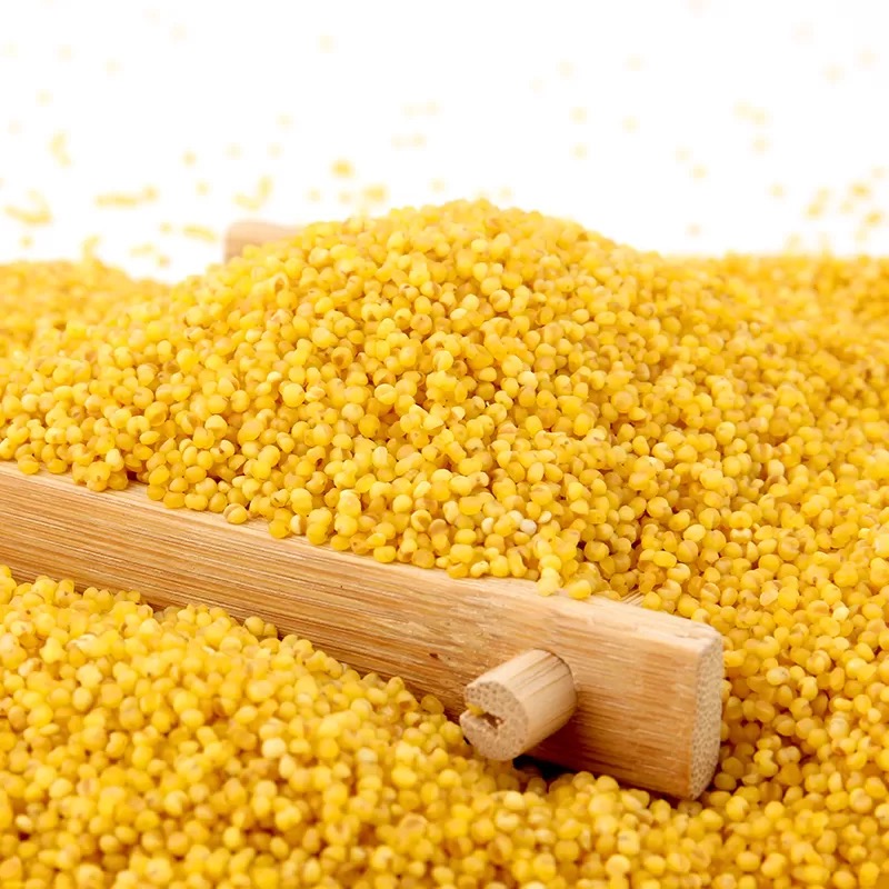 艾提尕小米5kg/袋高清大图